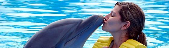 Marmaris Dolphin Park