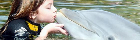 Marmaris Dolphin Park