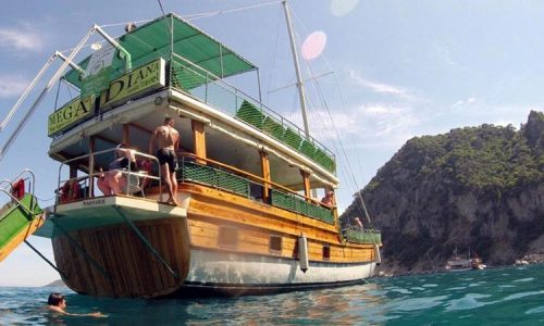 Mega Diana Boat Trip